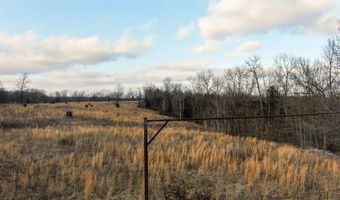 208 Cabin Rd, Ava, MO 65608