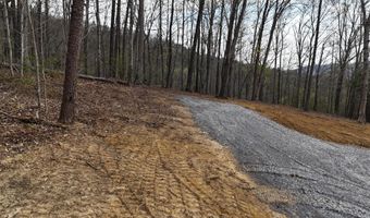 Bayside Boulevard lot 48, Bean Station, TN 37708
