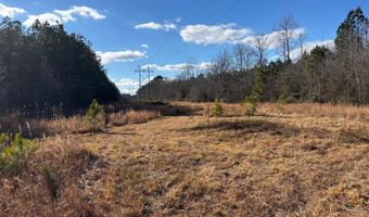 LOT 4B MOLLYFIELD ROAD, Dagsboro, DE 19939