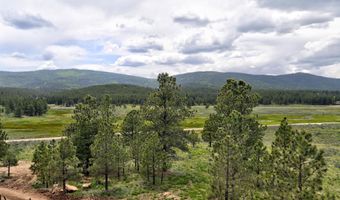 18 Angel Fire Rd S 9, Angel Fire, NM 87710