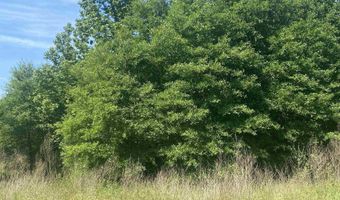 Lot 25 Cinel Loop, Austin, AR 72007