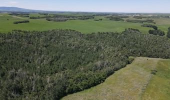 N 4600 E, Ashton, ID 83420