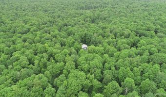 40 Acres The Grade, Amasa, MI 49920
