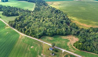 13 93 Acres Conn Rd, Adairville, KY 42206