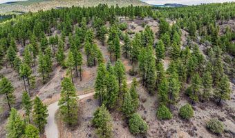 20861 Hwy 160, Bayfield, CO 81122