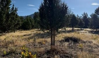 Old Coyote Ct, Alturas, CA 96101