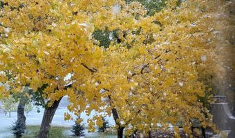 903 CAMINO VISTA RIO, Bernalillo, NM 87004