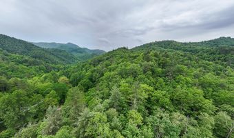 399 Shell Stand Rd, Almond, NC 28702
