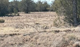 00- C N Dunbar Blvd, Ash Fork, AZ 86320