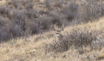 TBD Iron Mountain Rd, Chugwater, WY 82210