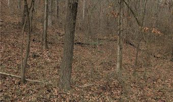 Evans Mountain Road lot 0, Atkins, AR 72823