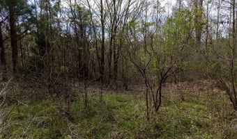 Tbd Pump Station Rd, Ashdown, AR 71822