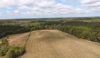 County Road 113, Alton, MO 65606