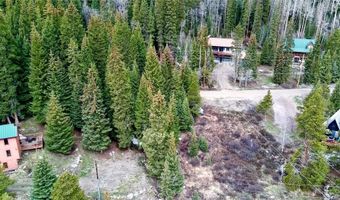 498 97 Cir, Blue River, CO 80424