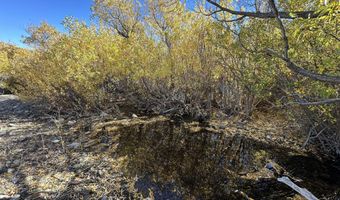 State Route 34, Gerlach, NV 89412