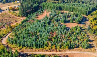 NW Lodge Rd, Banks, OR 97106