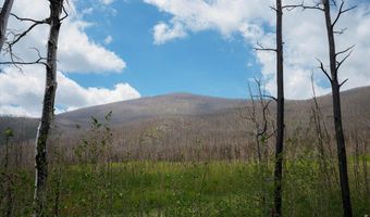 30 Sheep Horn Ct, Bellvue, CO 80512