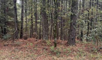 19 Pizarro Dr, Hot Springs Village, AR 71909