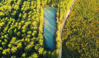 644 Ash-harrel Loop, Abbeville, GA 31001