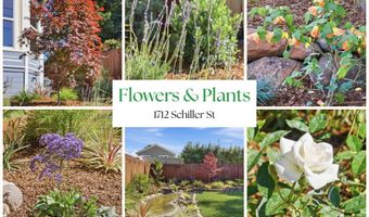 1712 Schiller St, Alameda, CA 94501