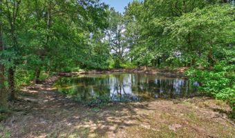 1094 County Road 2389, Alba, TX 75410