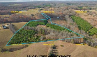 0 Lot 2B Police Tower Rd Lot 2B, Appomattox, VA 24522