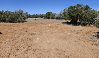 ACR N8388 and N8385, Concho, AZ 85924