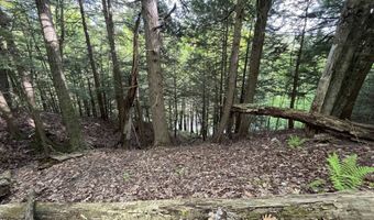 Map17-Lot 31 & 33 River Road, Bath, NH 03740