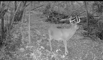 County KK, Alma, WI 54610