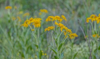 235 Coronet Dr Lot 436, Blue River, CO 80424