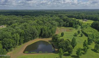 1144 Little Big Mound Rd, Bentonia, MS 39040