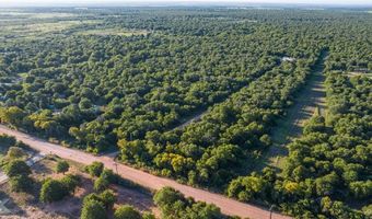 11569 County Road 356, Anson, TX 79501