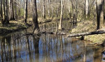 Bogue Chitto Road, Bogue Chitto, MS 39629