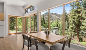 768 Kings Lake Rd, Basalt, CO 81621