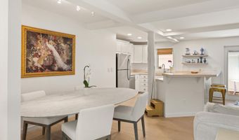 960 E Durant Ave 6, Aspen, CO 81611