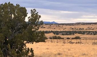 County Road 91.9, Aguilar, CO 81020
