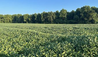 00 Nc N 903, Albertson, NC 28508