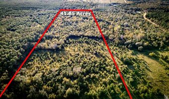 0 Morris Lndg, Baxley, GA 31513