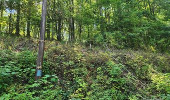 Jacks Knob Road, Barnardsville, NC 28709