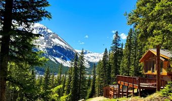 926 Nuthatch Dr, Alma, CO 80420