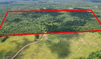 Hummingbird Lane, Ponce De Leon, FL 32455