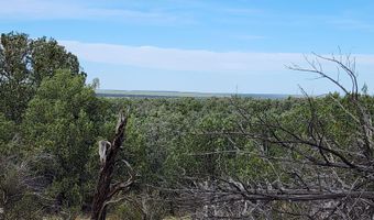 912 Westwood Rnch, Ash Fork, AZ 86320