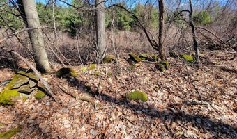 399 Bard Rd, Bennington, VT 05201