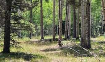 Lot 51 Via de Maria, Angel Fire, NM 87710