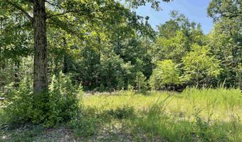236 Red Cox Ln, Calico Rock, AR 72519