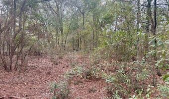 NW 11th Ave, Bell, FL 32619
