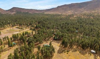 7 County Road 2312, Alpine, AZ 85920