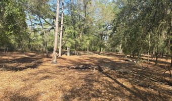 1320 NW 22nd Ct, Bell, FL 32619