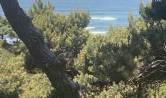 88677 WHITING Ln, Bandon, OR 97411