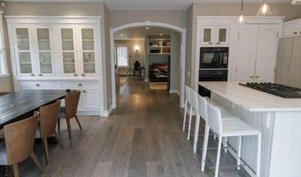 229 W Hallam St, Aspen, CO 81611